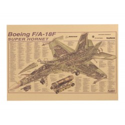 Lámina Infograma de un Boeing F/A-18 Super Hornet