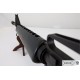 M16A1 assault rifle, USA 1967 (Vietnam War)