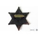 Six point ball tipped star badge
