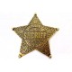 Placa de Sheriff de 5 pontas